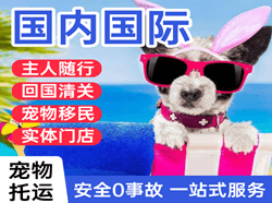 济南遥墙空运国际宠物托运 【国